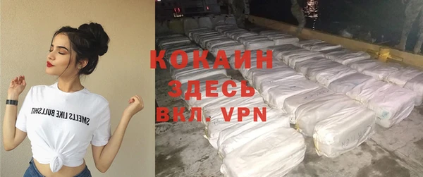 дживик Козельск