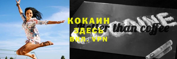дживик Козельск