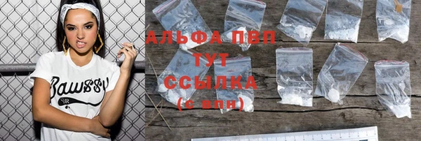 дживик Козельск