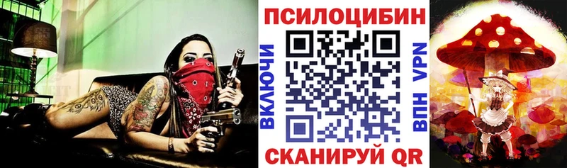 Псилоцибиновые грибы мицелий  Купить где  Кунгур 